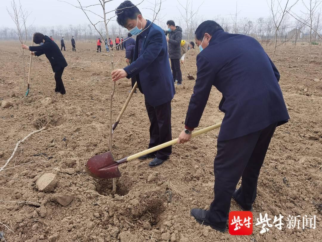 盐城黄尖，发展与变化的最新动态揭秘