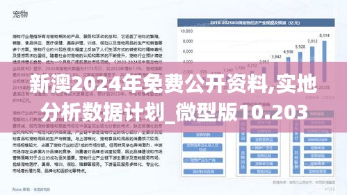 2024新澳精准免费资料,定性评估解析_苹果版28.918