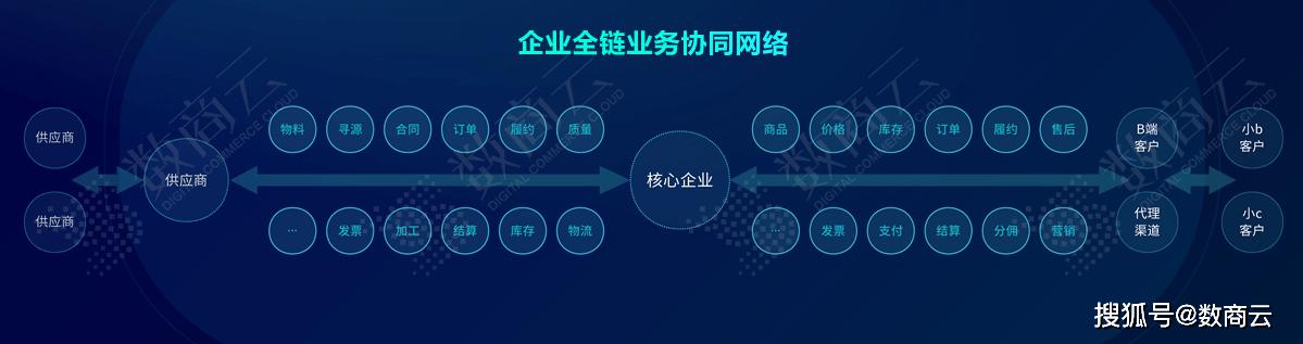 管家婆一码一肖100准,实效性策略解读_6DM13.931