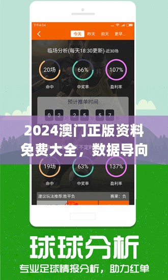 新澳2024正版资料免费公开,合理决策评审_VE版20.33