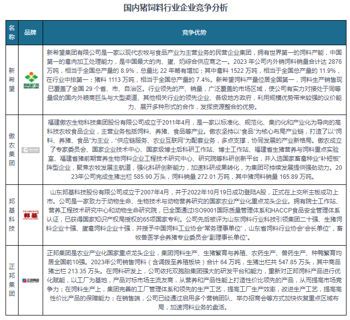 王中王资料大全料大全1,数据分析决策_定制版52.386