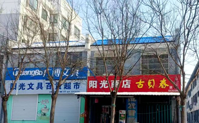 禹城胜利街重塑城市风貌，引领发展潮流的最新动态