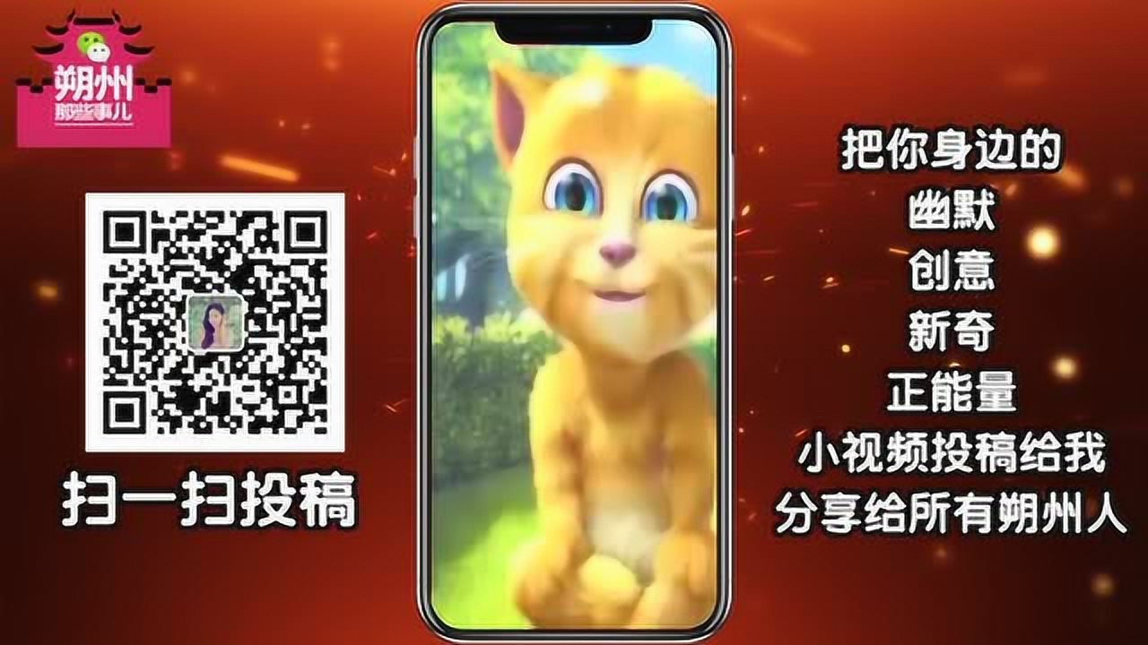 最新金猫侠段子大全，笑料不停，欢乐无边