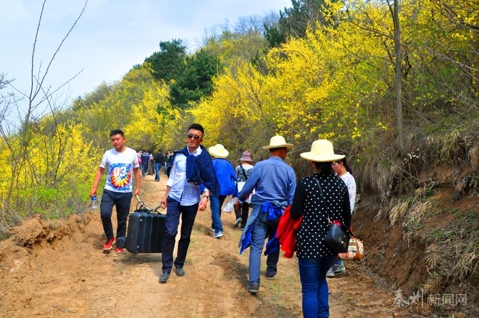 秦州秦岭乡最新新闻,秦州秦岭乡最新新闻报道