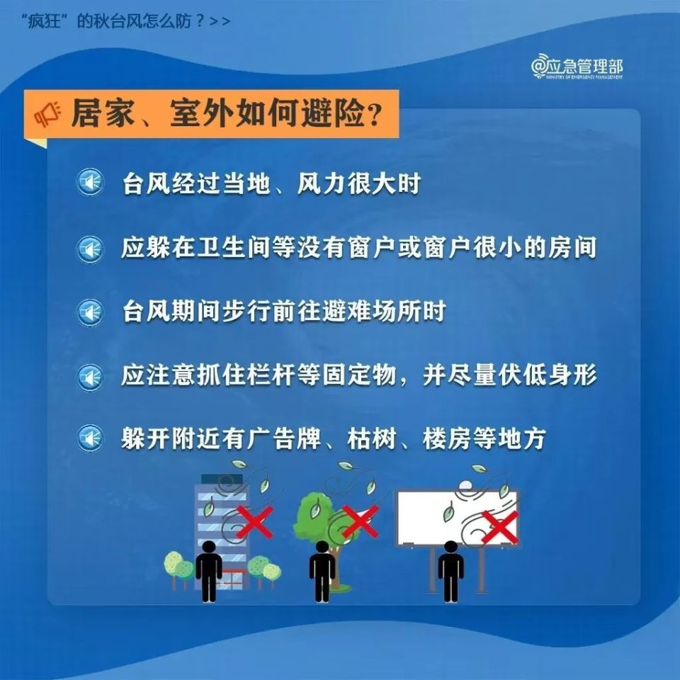 莱芜金点子最新司机招聘信息概览，最新司机招聘启事发布